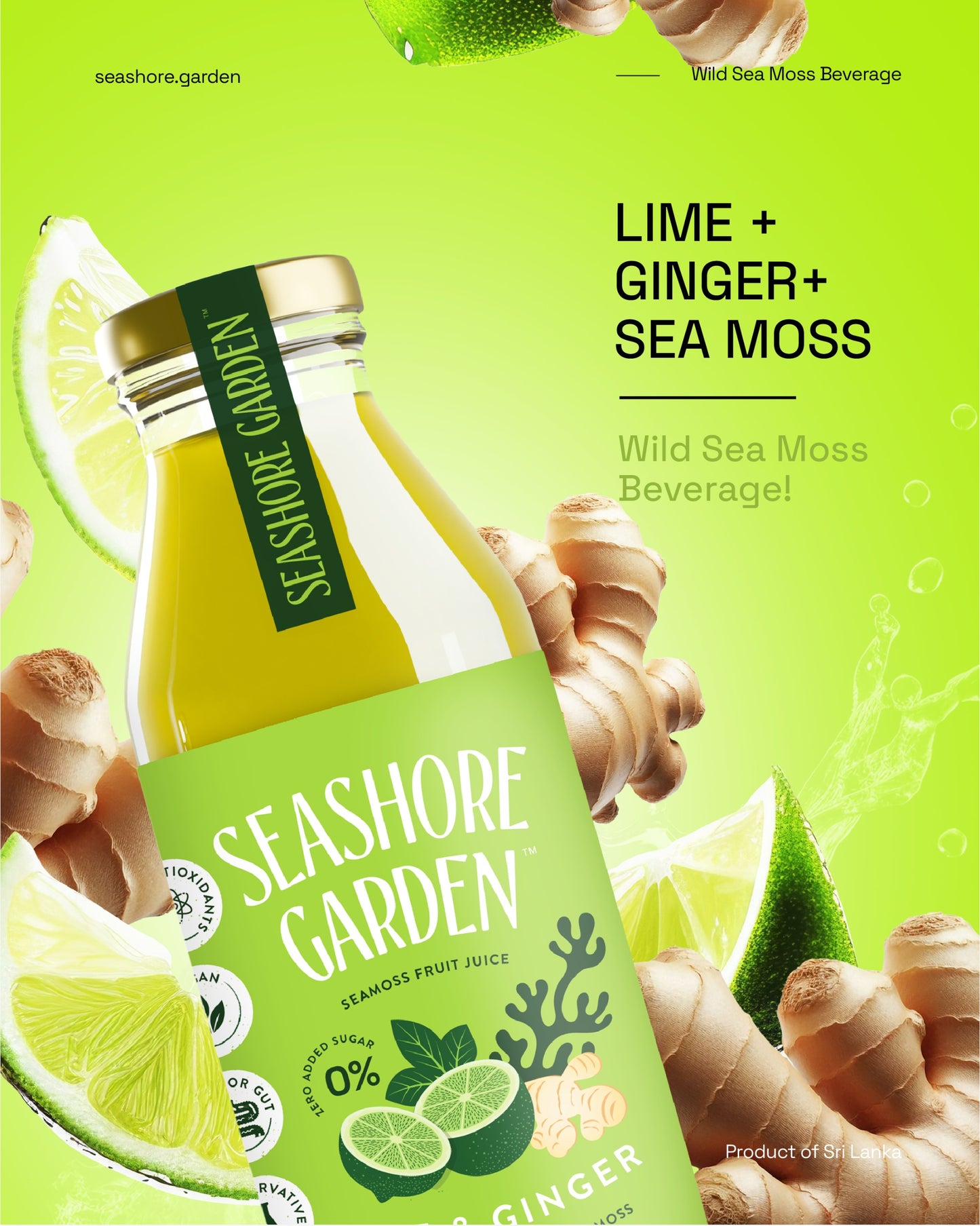 Lime + Ginger + Sea Moss