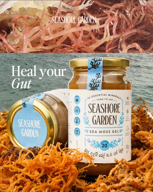 How to Use Sea Moss Gel Daily: A Simple Guide for Beginners
