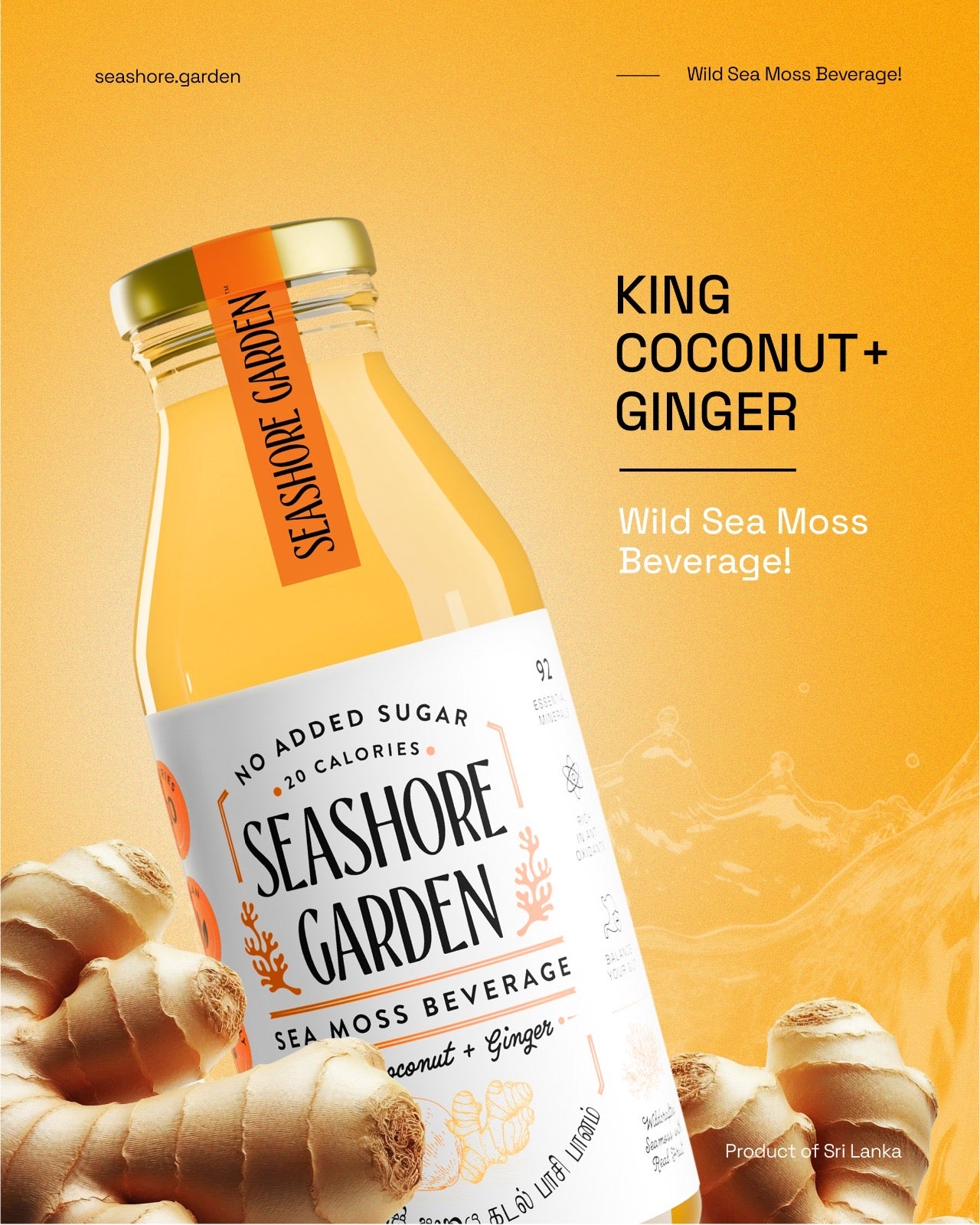 King Coconut + Ginger